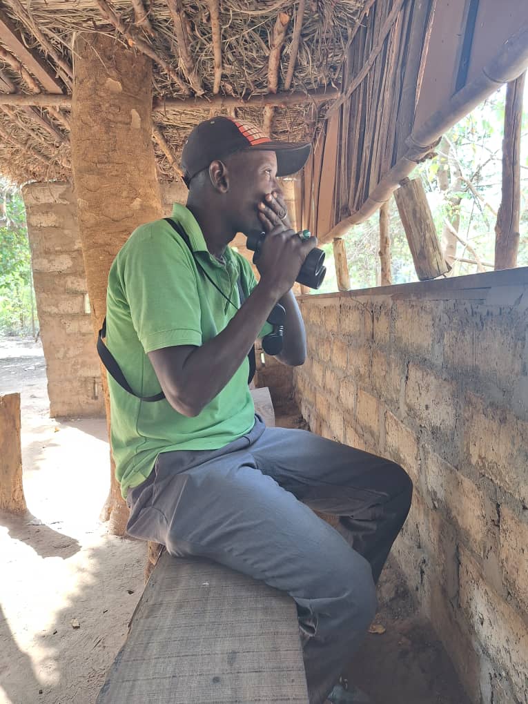 Hassan Gindeh guiding birders in the field