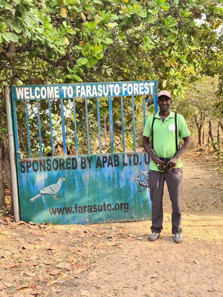 Assan guiding birders at Farasuto Forest
