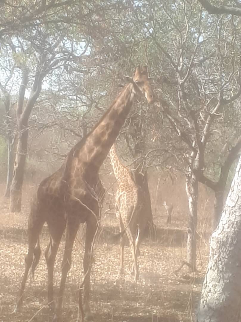 Group photo from a Carmels nature outing