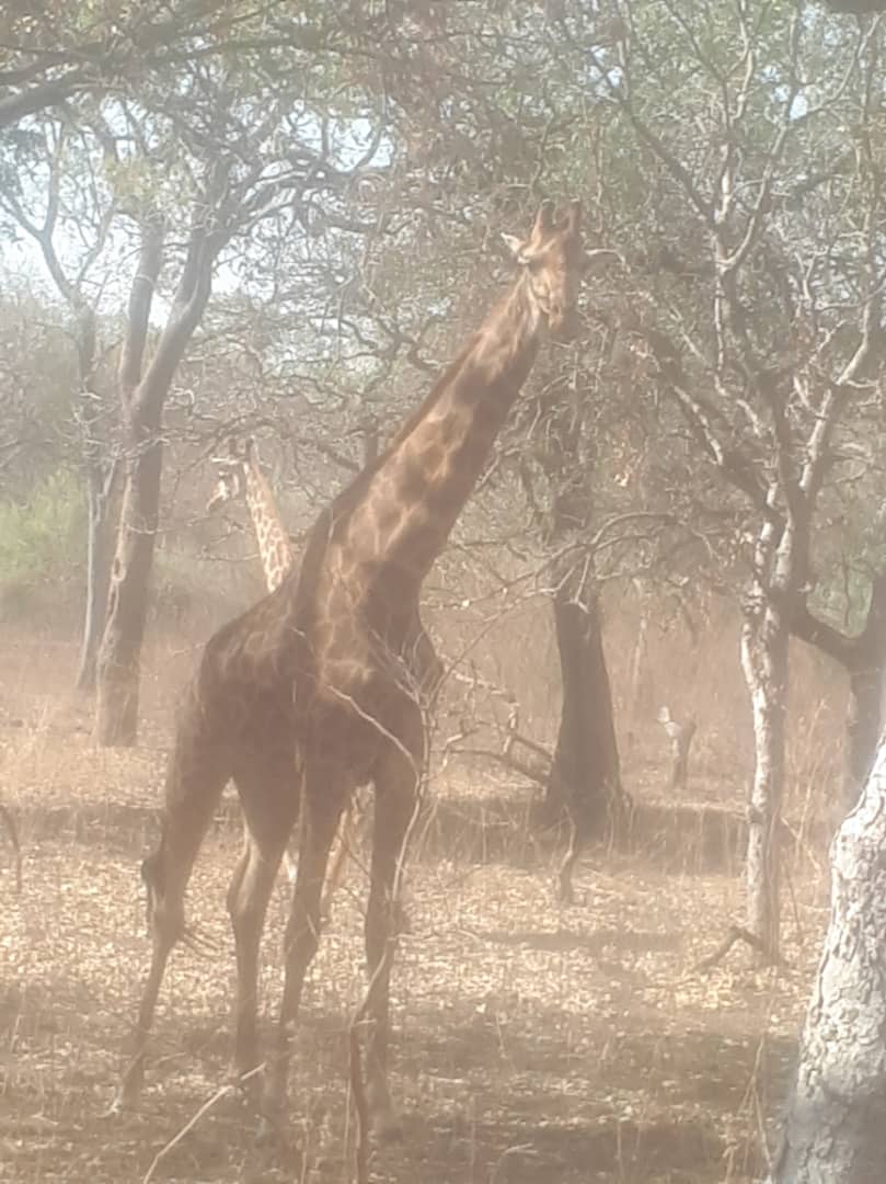 Birders exploring the Carmels trail