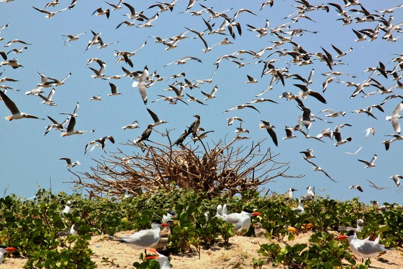 Beach and river mouth at Tanji reserve